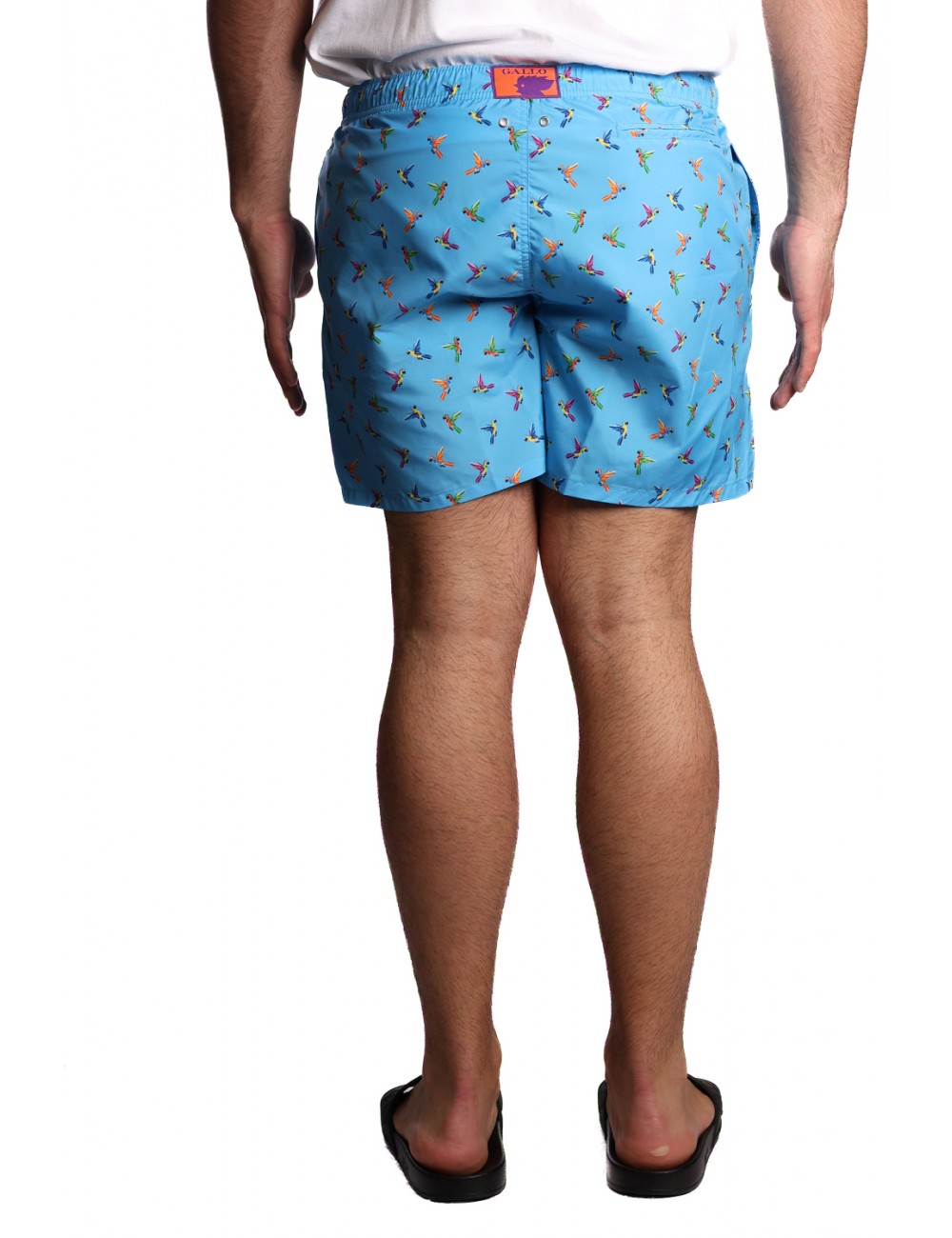 costume a pantaloncino gallo UOMO 12654 TURCHESE - AP515777 vista frontale