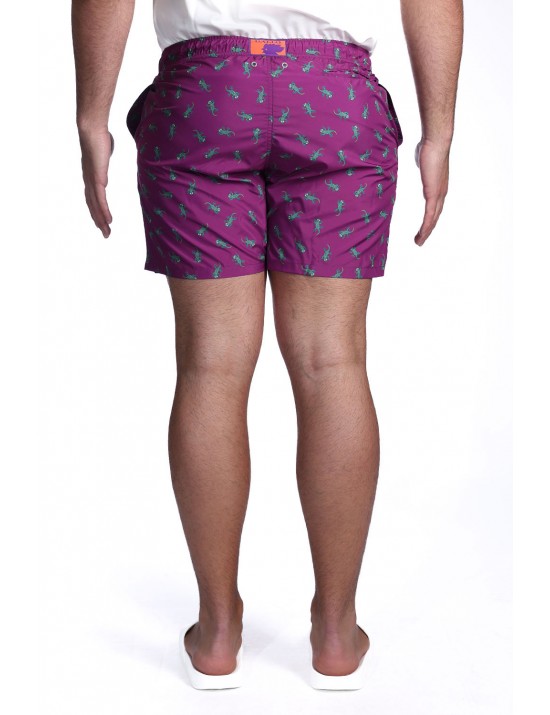costume a pantaloncino gallo UOMO VIOLA 15626 STRELIZIA - AP516784 vista frontale