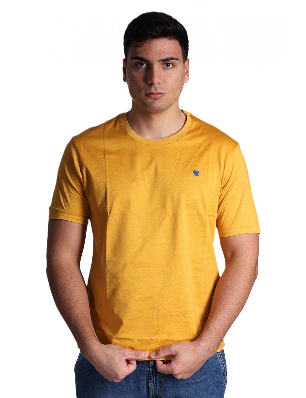 t-shirt gallo UOMO 15292 MOSTARDA - AP516882 vista frontale