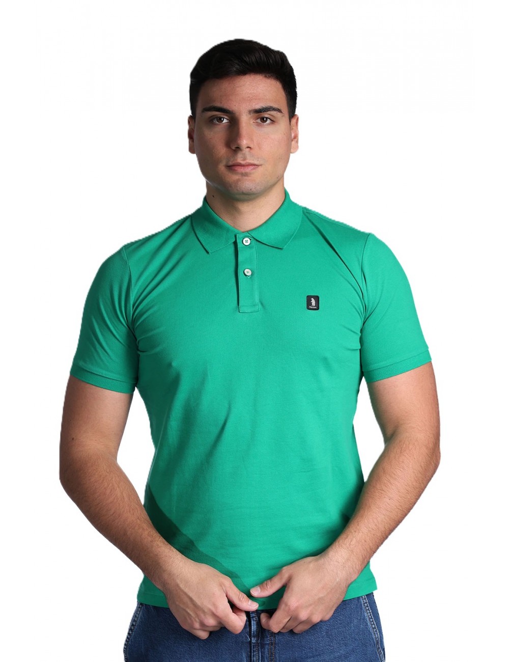 polo refrigue UOMO GREEN - R5013M261 vista frontale