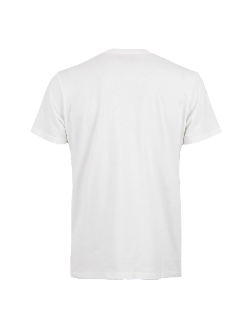 t-shirt gallo UOMO 12058 BIANCA E TURCHESE - AP511941 vista posteriore